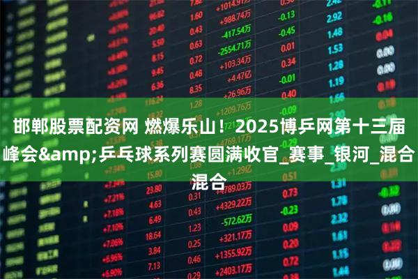邯郸股票配资网 燃爆乐山！2025博乒网第十三届峰会&乒乓球系列赛圆满收官_赛事_银河_混合