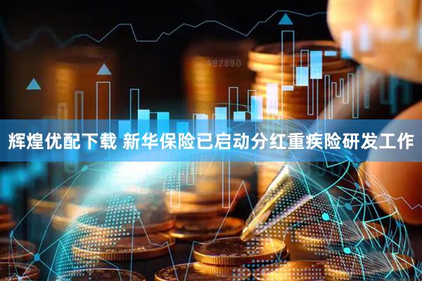 辉煌优配下载 新华保险已启动分红重疾险研发工作